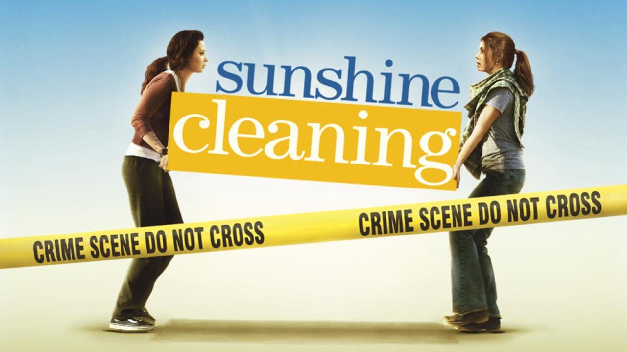 فيلم Sunshine Cleaning 2008 مترجم كامل فوستا