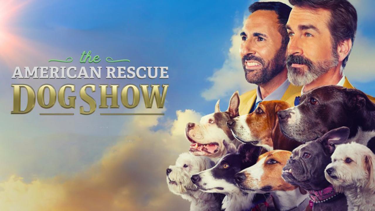 فيلم American Rescue Dog Show 2022 مترجم كامل HD