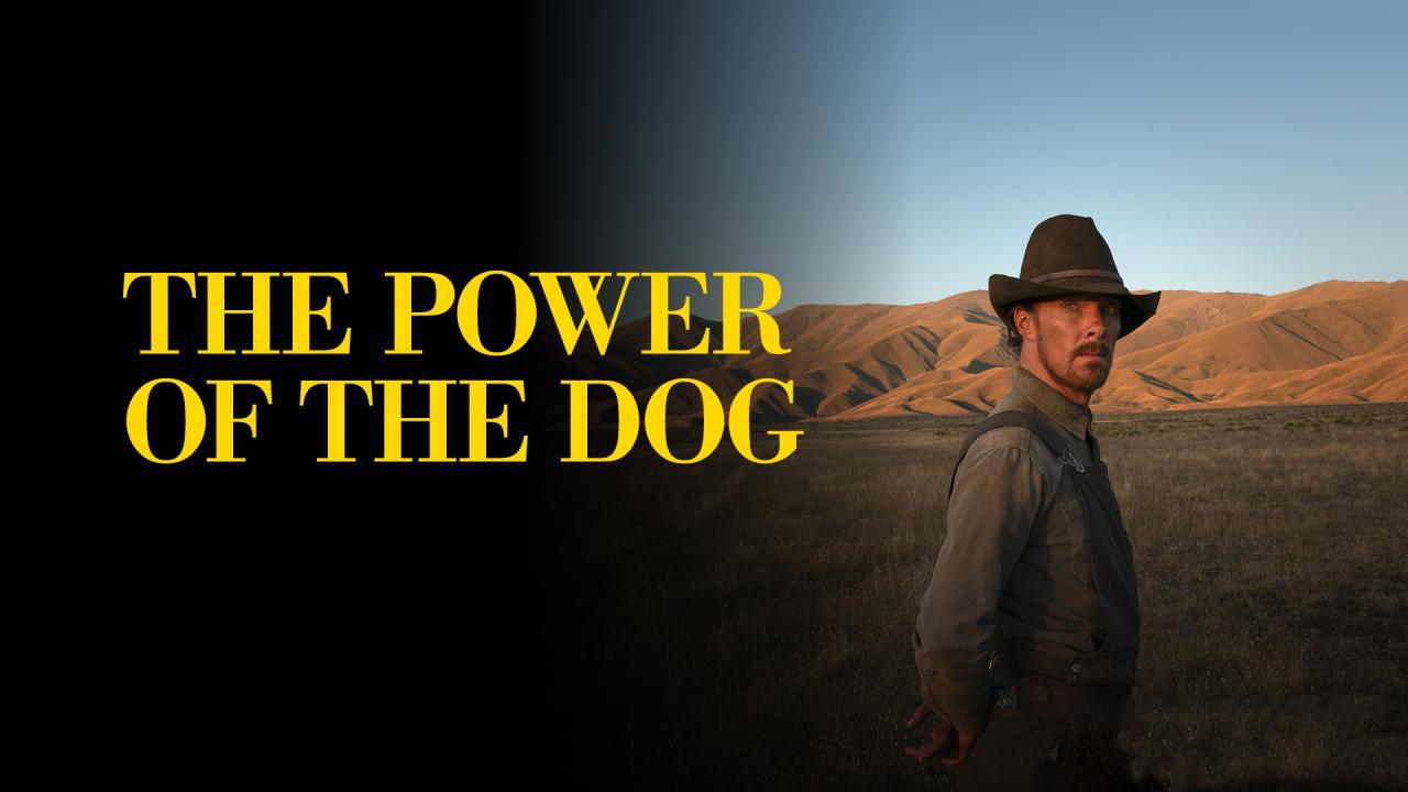 فيلم The Power Of The Dog 2021 مترجم كامل فوستا