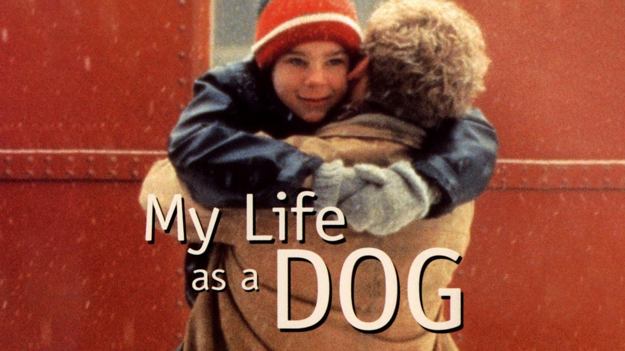 فيلم My Life As A Dog 1985 مترجم كامل فوستا