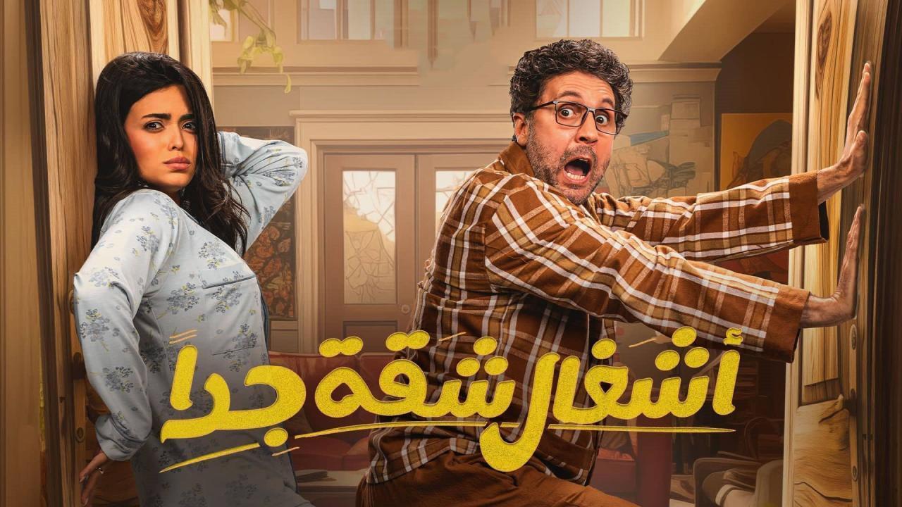 مسلسل أشغال شقة 2