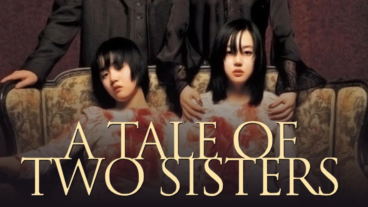 فيلم A Tale Of Two Sisters 2003 مترجم كامل فوستا