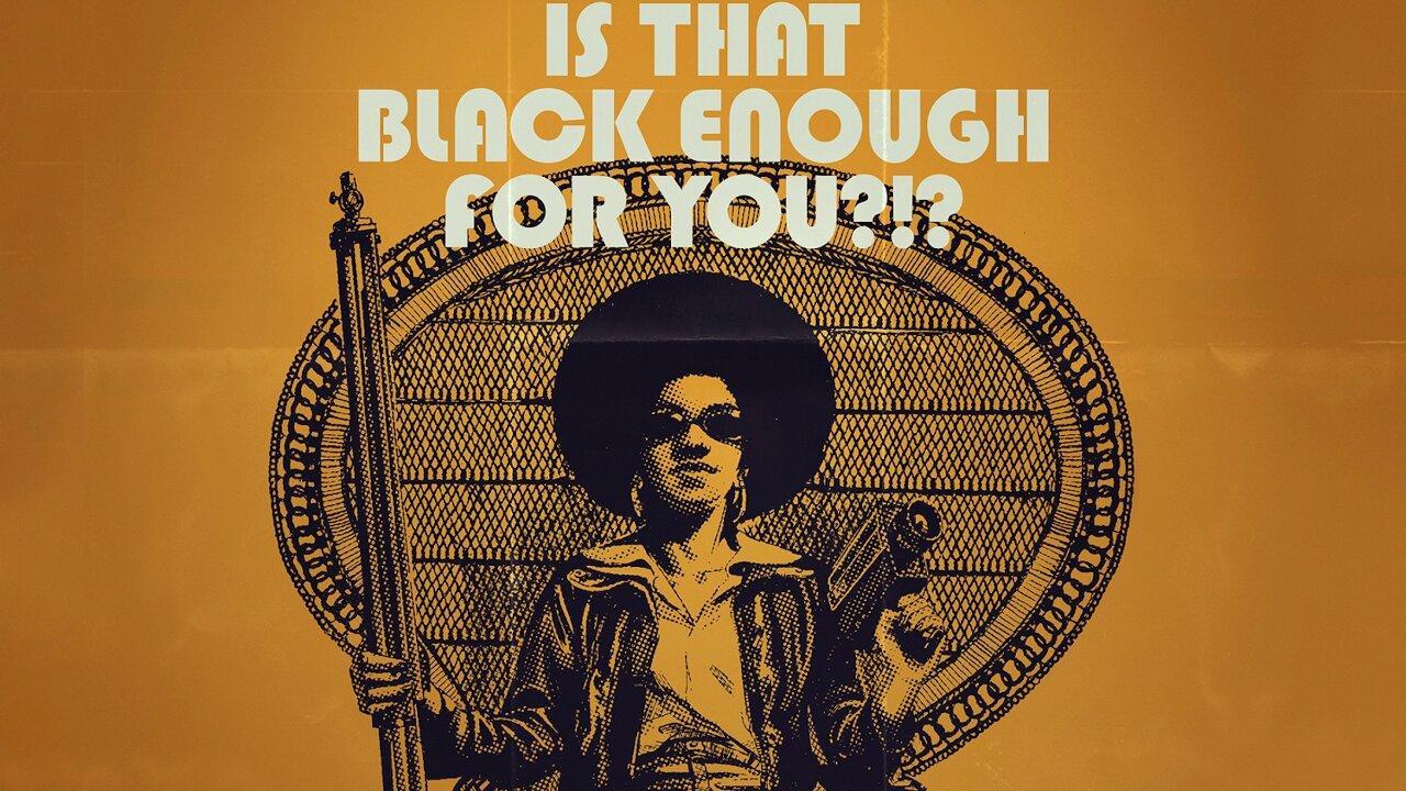 فيلم Is That Black Enough for You?!? 2022 مترجم كامل فوستا