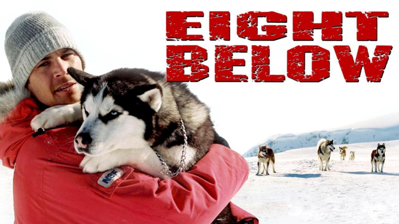 فيلم Eight Below 2006 مترجم كامل فوستا