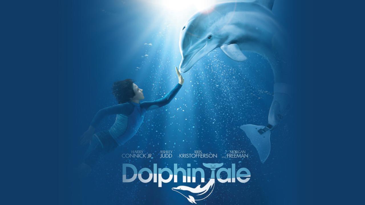 فيلم Dolphin Tale 2011 مترجم كامل فوستا